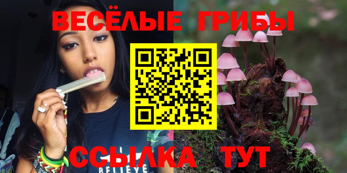 Псилоцибиновые грибы GOLDEN TEACHER  Вход с VPN  Чебоксары 